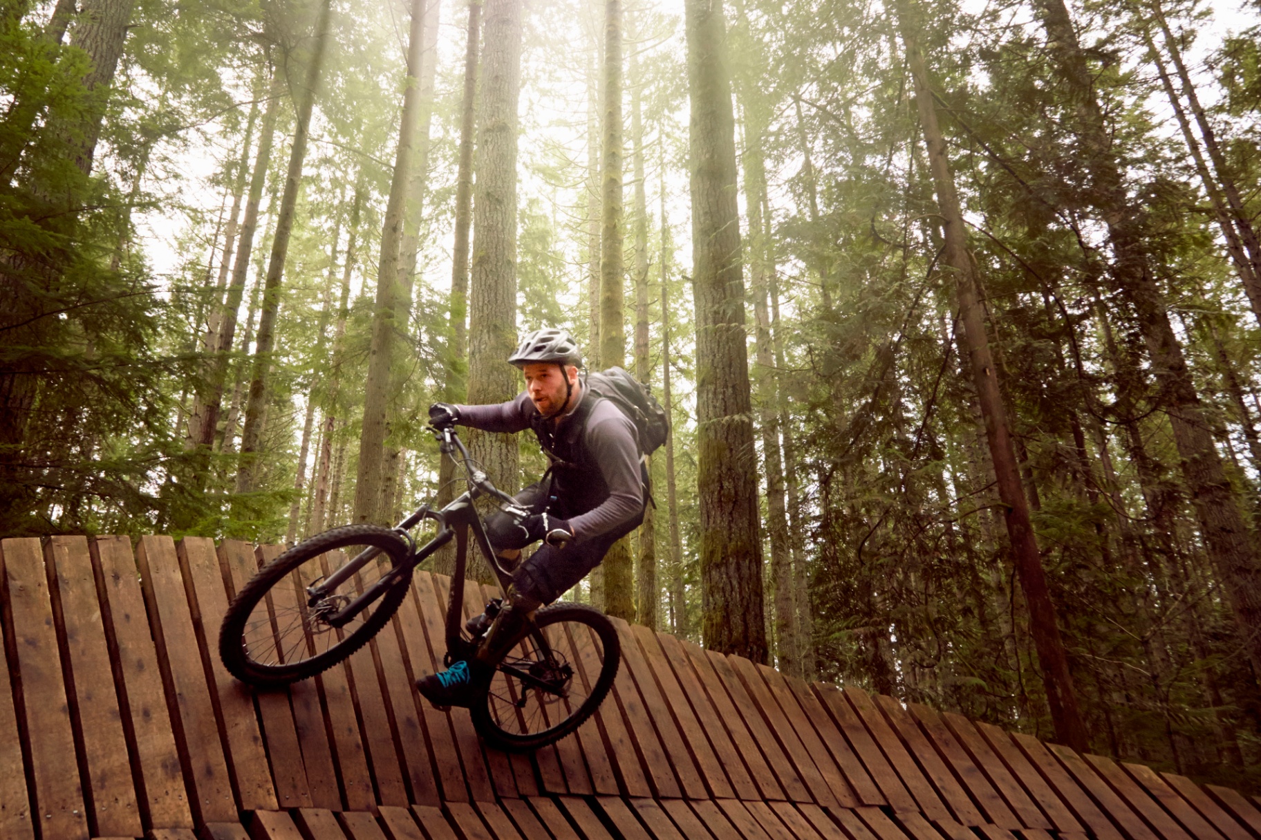 Mountain biker on a forest trail